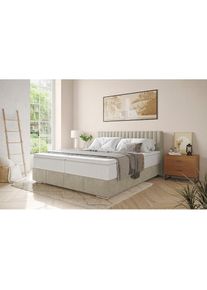 Inosign, Boxbett &raquo;Thor mit Bettkasten, inkl. Matratze, Topseller&laquo; Topper und Zierkissen, in verschiedenen H&auml;rtegraden verf&uuml;gbar, Aqua Clean Pascha 02 