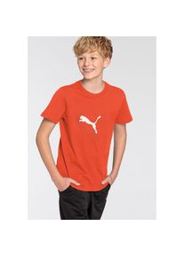 Puma , Jugendliche , T-Shirt »ESS+ LOGO LAB GRAPHIC TEE B« Für Kinder und Jugendliche , Redmazing , 164 , 164 , Regular Fit