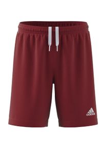 Adidas, Jungen, Sporthose, Entrada 22 Shorts (176), Blau