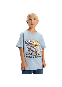 DC Shoes, Unisex, T-Shirt &raquo;Hot Slice&laquo;, Blue Fog, 16(165-172cm), Blue Fog, Stoff: Baumwolle, Baumwoll-Jersey...