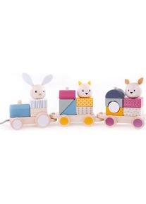 Bigjigs Activi Nachziehzug FSC 100%