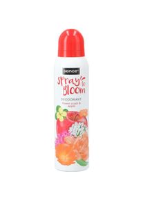 Sence, Deo, Bloom Flower Crush & Apple Deodorant Body Spray 150ml (Spray, 150 ml)