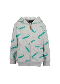 Blue Seven , Jungen , Sweatjacke »Jungen Sweatjacke mit Kapuze« 1 Stk. tlg. , 920 - CROCO , 98 , 98 , Bequeme Jacke mit Kapuze für Jungen