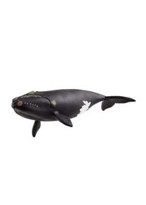 Baleine franche de l'Atlantique Nord Schleich Wild Life