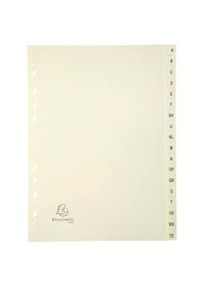 Exacompta - Cod. 1118E - Divisori per raccoglitori ad anelli con 18 tasti alfabetici A-Z - Cartoncino avorio 155 g/mq - Formato A4 - 10 pezzi