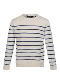 Regatta Heren cautley gestreepte gebreide trui