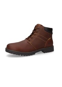 Camel Active, Damen, Winterboots Schn&uuml;rstiefel mit Profilsohle und Warmfutter, braun, 43, braun, Schn&uuml;rboots von Camel Active mit l&auml;ssiger 
