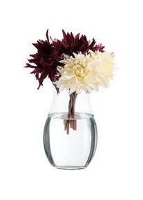 Relaxdays Blumenvase , Transparent , Glas , 26 cm , Dekoration, Vasen, Glasvasen