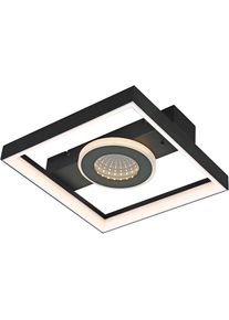 Paul Neuhaus Deckenleuchte »TRAFORO« LED-Board 1 Stk. warmweiß - kaltweiß CCT - über Fernbedienung in schwarz, Größe Ø 0 cm Höhe: 6,2 cm
