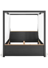 Set One By Musterring Himmelbett »York Schlafen« 1 Stk. tlg. Liegefläche 180 x 200 cm in grau, Größe B/H/L: 185,6 cm x 200,4 cm x 208,4 cm