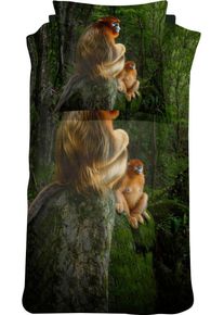 Damai Bettwäsche »Snub Nosed Monkey« 2 Stk. tlg. mit einem Affen in grün, Größe B/L: 80 cm x 80 cm