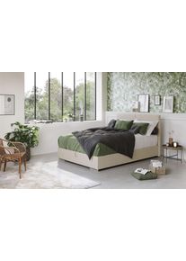 COTTA Boxbett »Tom mit Bettkasten in beige, Größe Liegefläche B/L: 120 cm x 200 cm