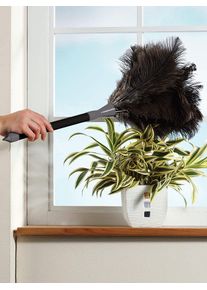 Staubbesen in schwarz