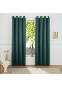 my home Gardine »SOLA« Ösen 1 Stk. tlg. Schal einfarbig, Verdunkelung, 1er oder 2er Set Gardinen in grün