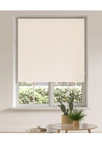 my home Seitenzugrollo »THEMSE« abdunkelnd Sichtschutz Verdunkelung energiesparend ohne Bohren freihängend Bestseller mit über 3000...