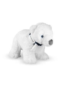 Bering | Polar Bear