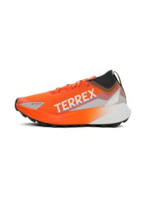 Adidas Terrex Agravic GTX Femme