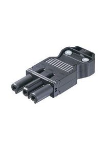 WIELAND Belysning Sokkel, 3 Poler, 20A, 250V - GST18I3S B1 ZR1 WS