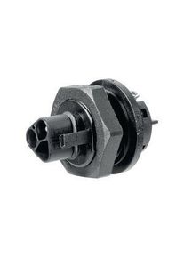 WIELAND Belysning Plugg, 3 Poler, 20A, 250V - 96.032.5053.1