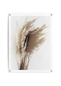 Reinders! Poster Zonnig gras Outdoor voor tuin of balkon deurposters beige