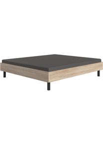 wimex Bett »Easy, große Auswahl an Größen und Farben, auch in Komforthöhe« Made in Germany, ohne Kopfteil, ideal unter Dachschrägen oder Fenster,...