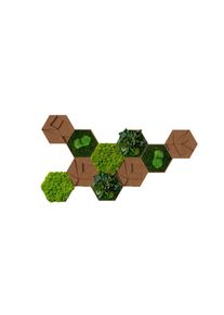 Moospaneel , Gr&uuml;n, Hellbraun , Holz, Naturmaterialien , 10-teilig , Kork,Kork , Pflanzen , sechseckig , 19x22 cm , einfache und schnelle Anbringung, pflegefrei &ndash; nicht gie&szlig;en oder bespr&uuml;hen, keine Beleuchtung notwendig , Bilder & Rahmen, Moosbilder