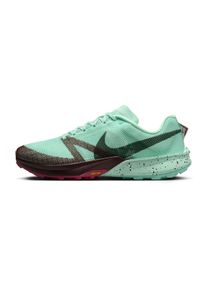 Nike Terra Kiger 10 Homme