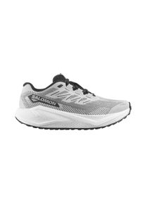 Salomon Herren Aero Blaze 3 Gravel grau 45.3