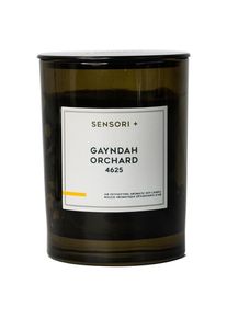 SENSORI + - Air Detoxifying Aromatic Soy Candle - Gayndah Orchard Candele 260 g unisex