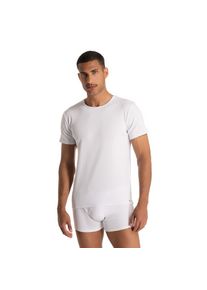 Bruno Banani , Rundhalsshirt »FINE RIB« Feinripp, Kurzarm, Rundhalsausschnitt, Cotton-Mix , weiß , XL , XL , Rundhalsshirt vob Bruno Banani