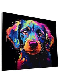 Planet Diamond art p lrred 30x40cm, hund