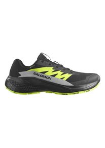 Salomon Herren Alphaglide GTX schwarz 46.0