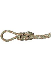 Mammut 9.5 Gym Classic Rope 50m - Einfachseil