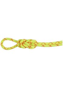 Mammut 9.5 Alpine Core Protect Dry Rope - Einfachseil