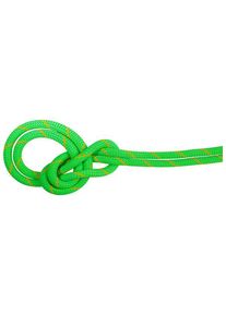 Mammut 9.5 Crag Eco Dry Rope Single rope (40 m, green)