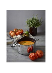 Scanpan Kochtopf HaptIQ Ø 20 cm - mit Deckel, Pfanne + Kochtopf, Schwarz, Silber