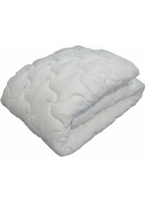 Abeil, Duvet, Bettdecke 400 g /m² 220 x 240 cm (220 x 240 cm)