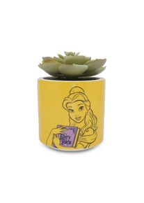 Beauty and the Beast - Belle Flowerpot