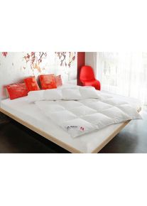 Balette , Kopfkissen »Swiss Dreams« 1 Stk. tlg. , weiß , Obermaterial: 100% Baumwolle , B/H/L: 40 cm x 80 cm