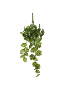 Mica Decorations, Kunstpflanzen, Dekorationspflanze Potos 14 x 58 x 20 cm Halsband (58 cm)