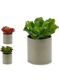 Ibergarden, Kunstpflanzen, Decorative Plant YC181588 20 x 25 x 20 cm (6 Units) (20 cm)