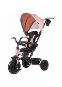 Ociotrends Dreirad Elite Platinum