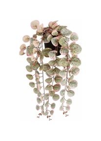 Mica Decorations, Kunstpflanzen, Dekorationspflanze Ceropegia Woodii 10 x 46 x 12 cm Künstlicher Zum Aufhängen (46 cm)