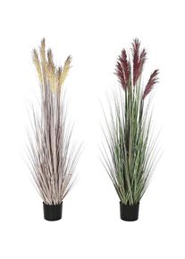 Esprit, Kunstpflanzen, Decorative Plant Home PVC Polyethylene 45 x 45 x 150 cm (2 Units) (150 cm)