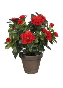 Mica Decorations, Kunstpflanzen, Dekorationspflanze 10,5 x 21,5 x 15 cm Azalee (21.50 cm)