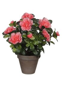 Mica Decorations, Kunstpflanzen, Dekorationspflanze 11,5 x 27 x 20 cm (27 cm)