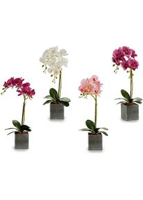 Ibergarden, Kunstpflanzen, Dekorative Blume A18124-50-2 A18124-50-2 Orchidee 14 x 51 x 18 cm (6 Stück) (18 cm)
