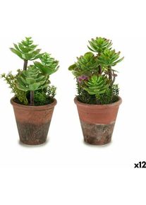 Ibergarden, Kunstpflanzen, Decorative Plant XD16-849 Plastic Succulent 16 x 23 x 16 cm (12 Units)