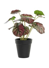 DKD Home Decor, Kunstpflanzen, Dekorationspflanze Rosa Grün Pe (10 X 10 X 27 Cm) (27 cm)
