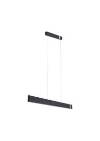 Paulmann Led-hanglamp Jagun 2700K 2000lm 26W Antraciet (1 stuk) hanglampen zwart